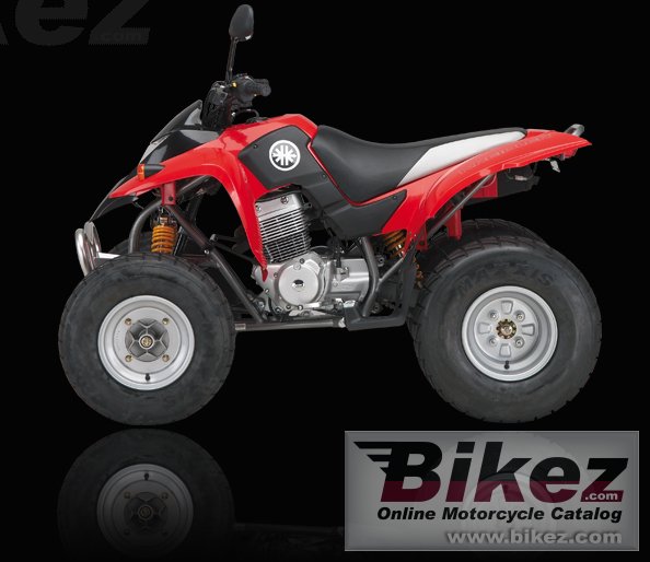 Big Kreidler mustang 250 picture and wallpaper from Bikez.com